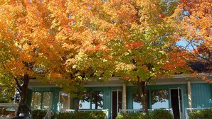 Una casa con porche y un árbol de hojas otoñales.