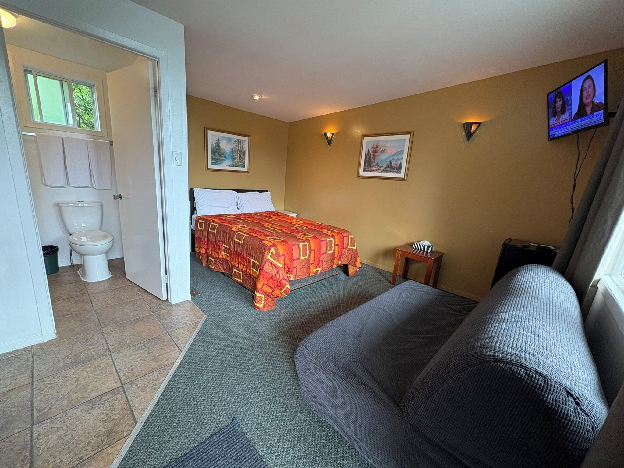 Una habitación de hotel con cama, sofá, televisor, un cuadro y baño.