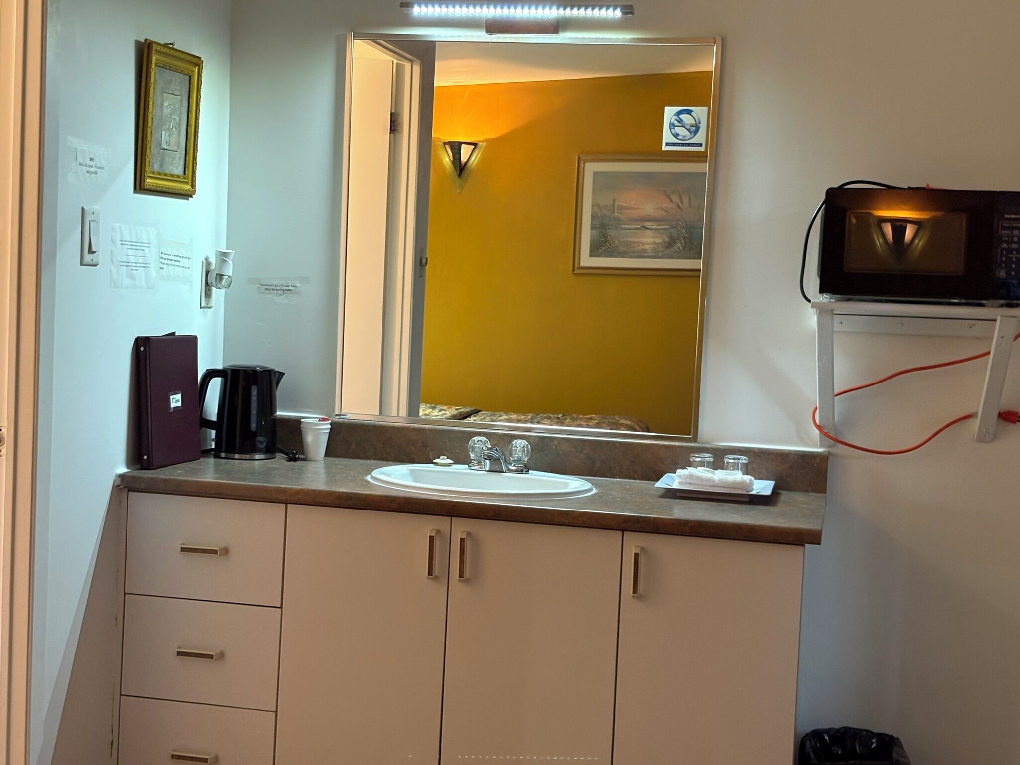 A bathroom with a sink, mirror, and a microwave on a stand.