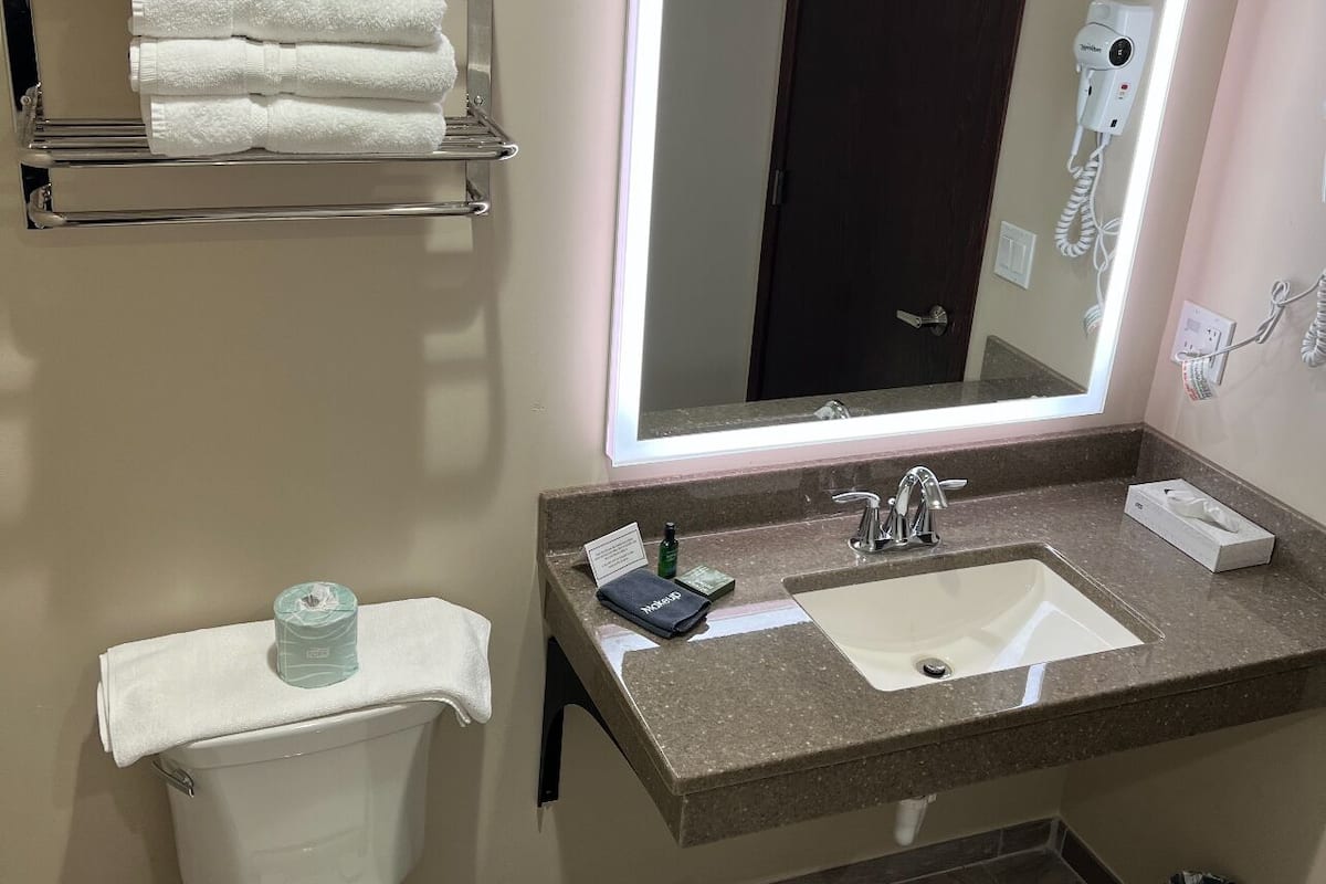 combined shower/bathtub, hair dryer, towels