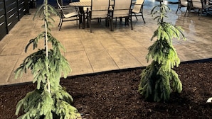 An outdoor patio with a covered seating area, two small coniferous trees, and a building in the background.