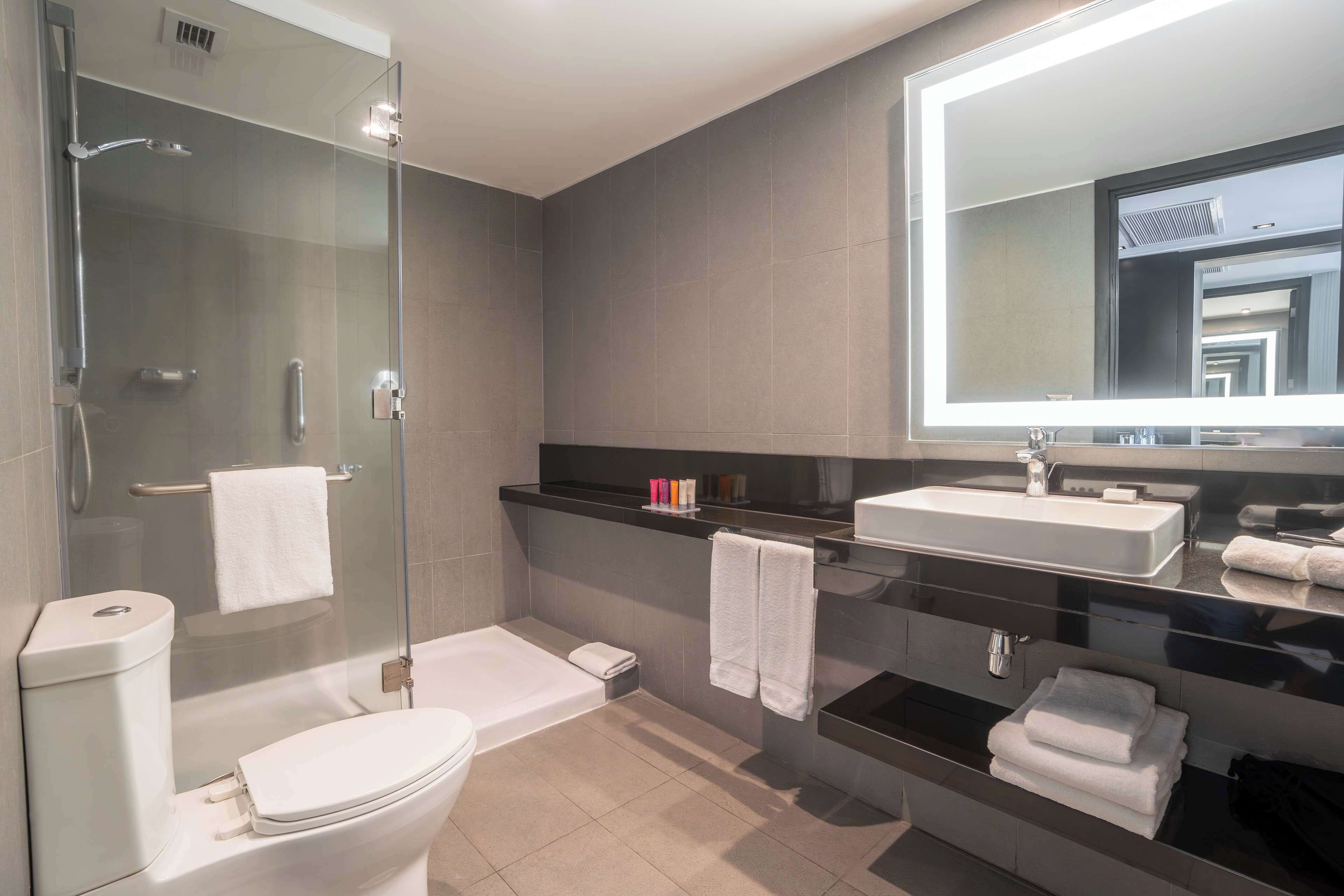 suite, 1 king bed | bathroom shower