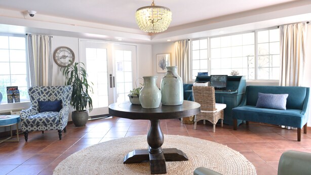 Een woonkamer met een ronde tafel, een blauwe bank, een fauteuil met een patroon en een potplant.