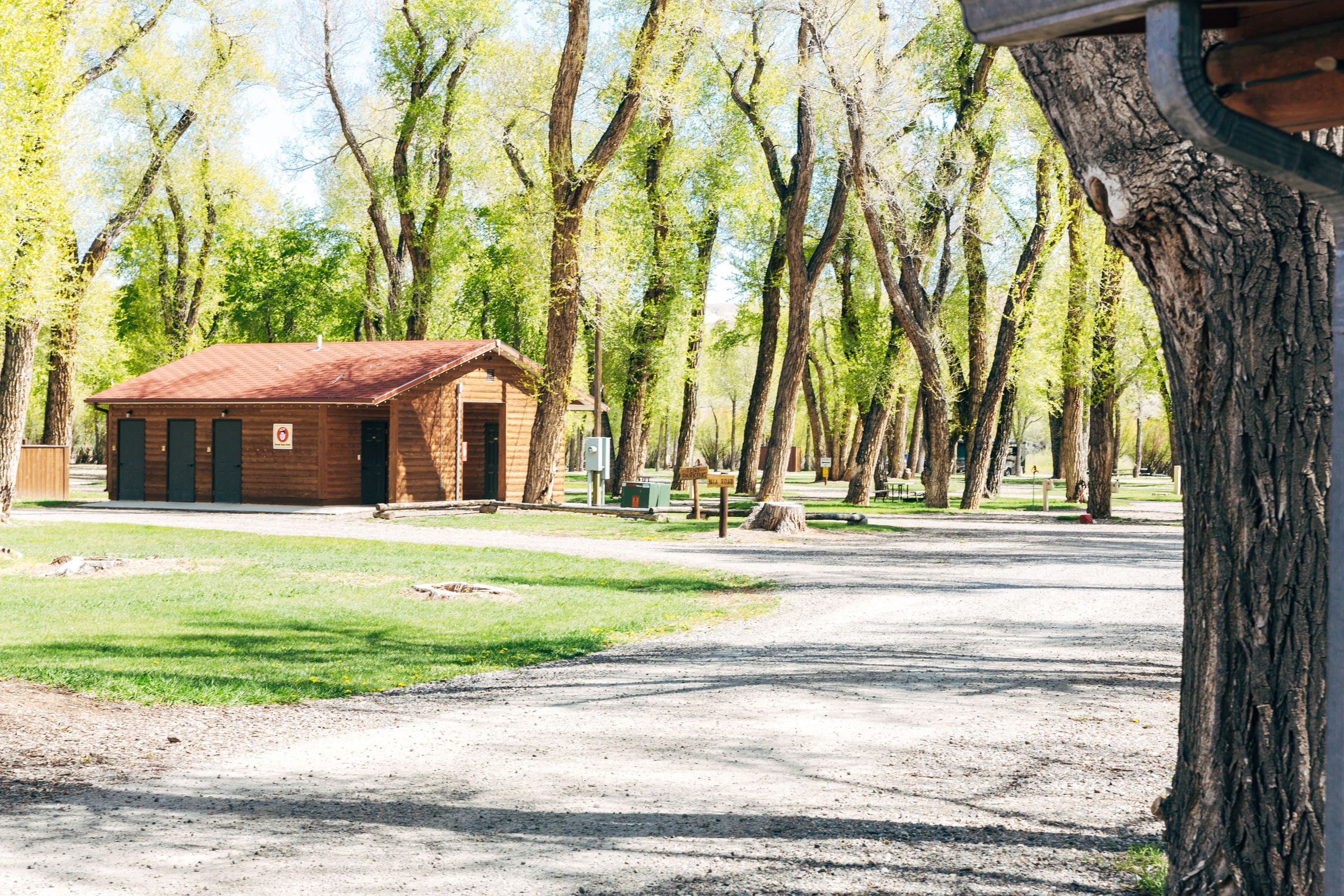 A rustic wooden cabin with a metal roof, surrounded by tall trees and a gravel path.