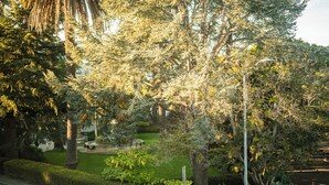 Un jardín bien cuidado con diversas especies de árboles y arbustos, una fuente central y setos perfectamente recortados.