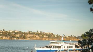 A ferry docked at a pier with a view of a hillside town in the background.
