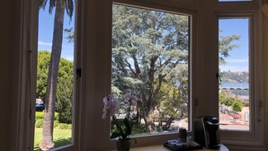 Una habitación con un amplio ventanal que da a un jardín y árboles, una mesita con una planta en maceta y una cafetera.