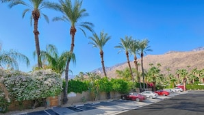 A parking lot with several cars, palm trees, and a mountain in the background. - Little Paradise Hotel (Palm Springs)