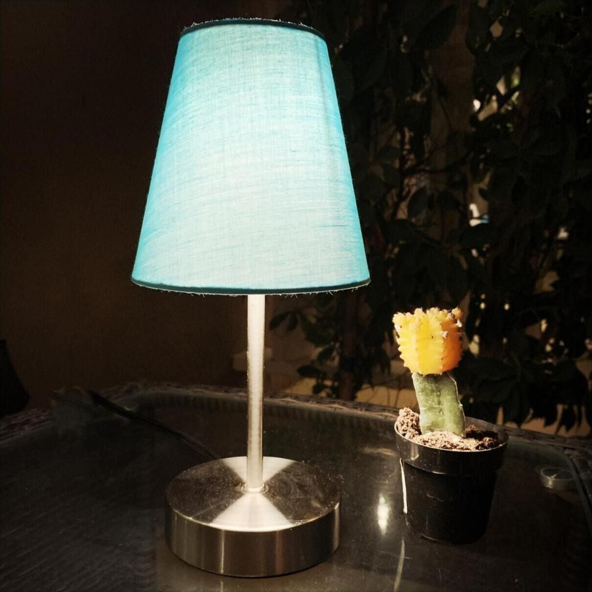 Foto - Little Paradise Hotel