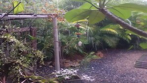 A garden with various plants, a wooden structure, and a small water feature. - Lanta Dream Garden Pool Villa (Ko Lanta)