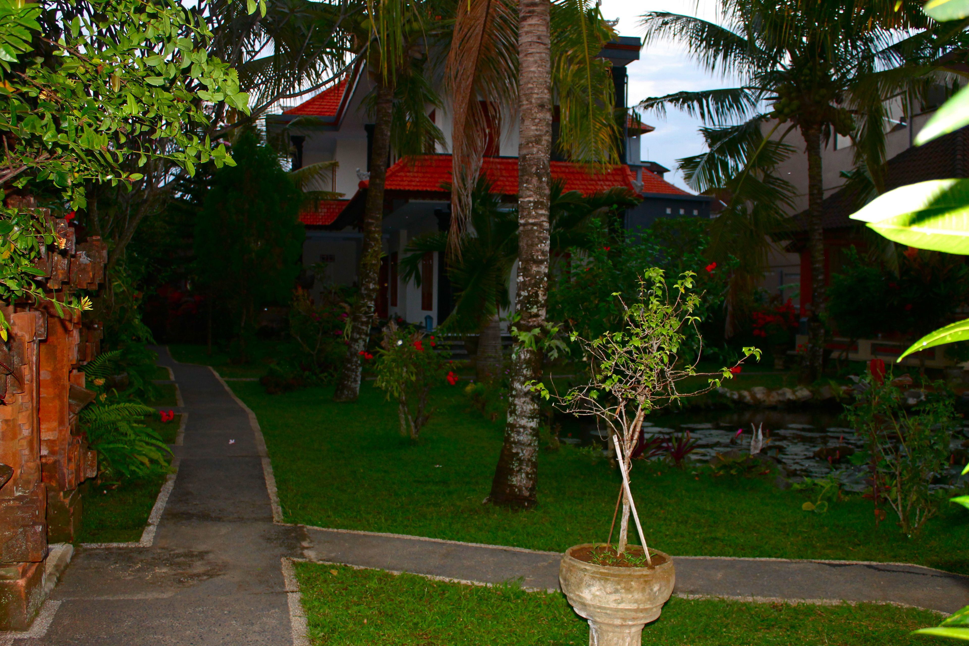 Overnattingsstedets uteområder