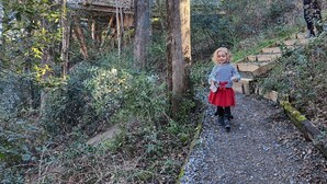A forested area with a gravel path, a wooden structure, and a person walking. - Hotel Les Cabanes Dans Les Bois (Villalier)