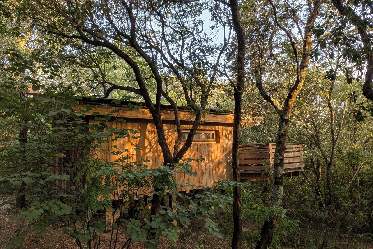 Ein rustikales Holzhaus, eingebettet in einen Wald.