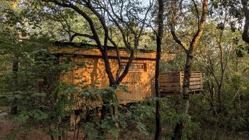 Cabaña Confort | Ropa de cama de alta calidad, camas con efecto memoria y minibar