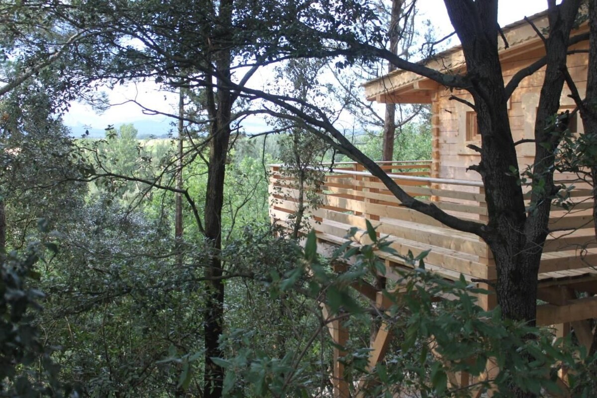 A wooden cabin surrounded by dense forest.