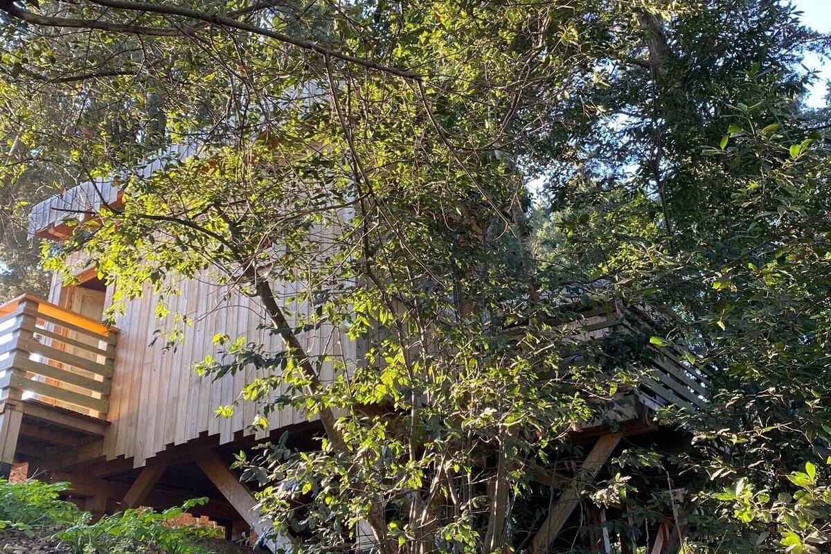 Family Cabin, 2 Bedrooms