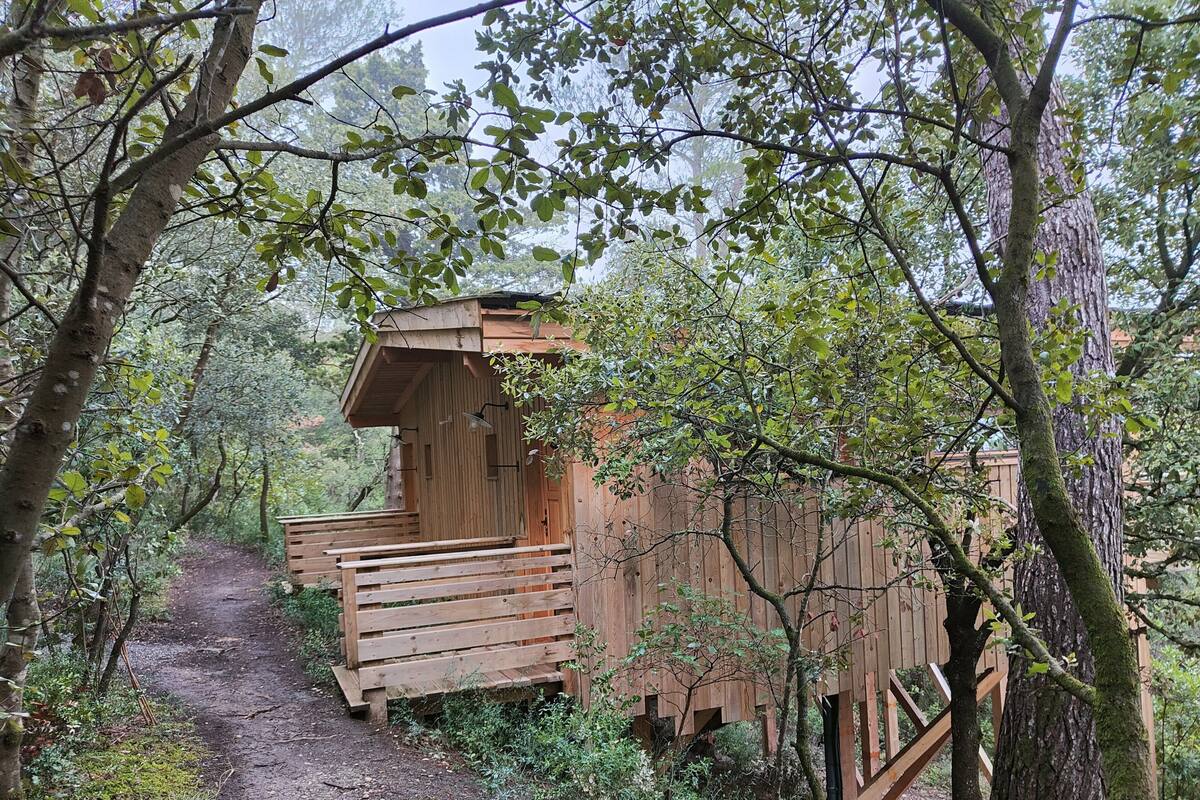 Eine Holzhütte mit geneigtem Dach, einer Holzterrasse und einem Feldweg, der dorthin führt.