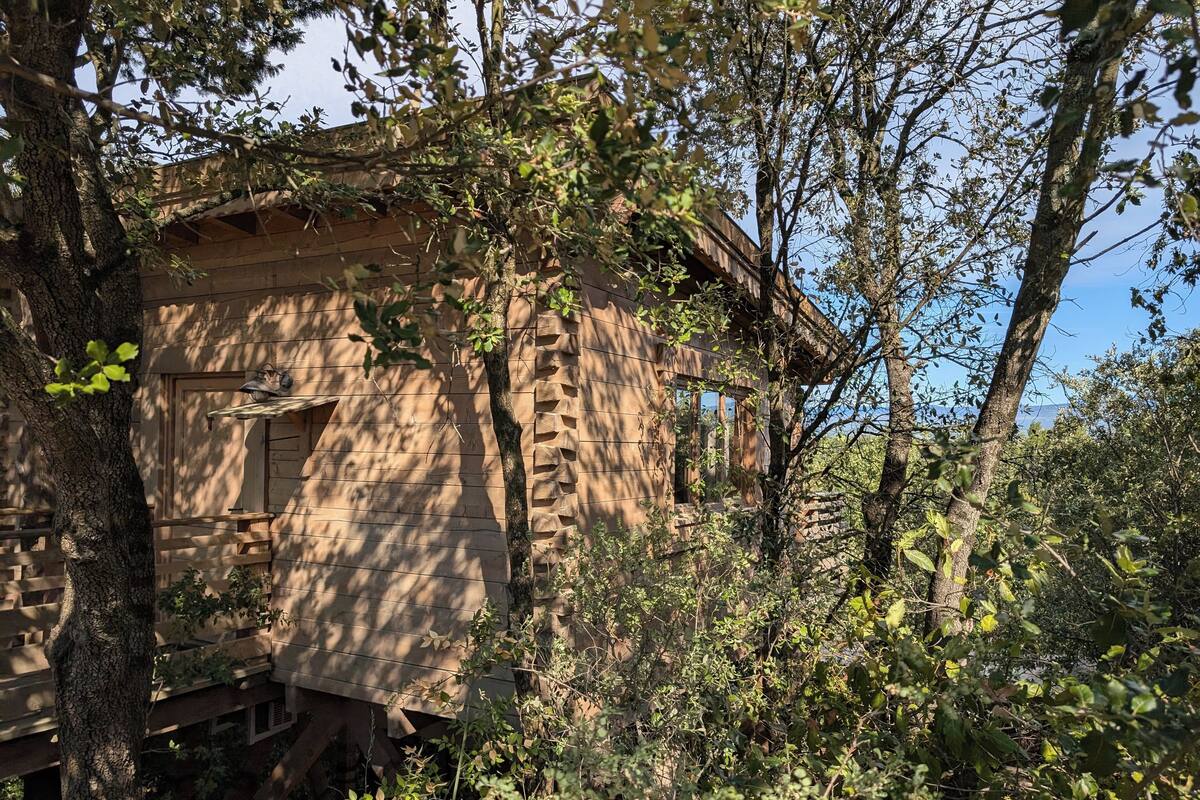 Eine rustikale Holzhütte, umgeben von dichtem Grün.