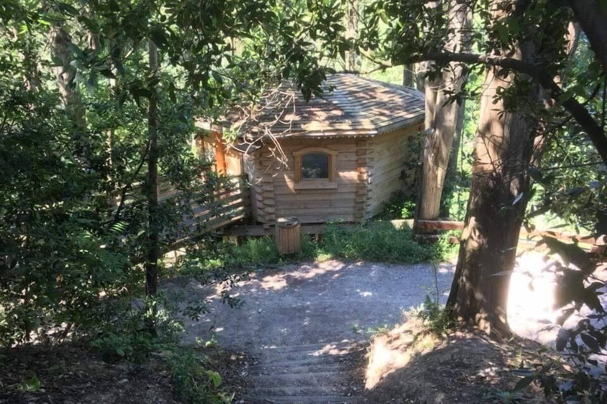 Ein rustikales Blockhaus mit einer Holztreppe, die zu einer Tür führt, umgeben von dichtem Grün.