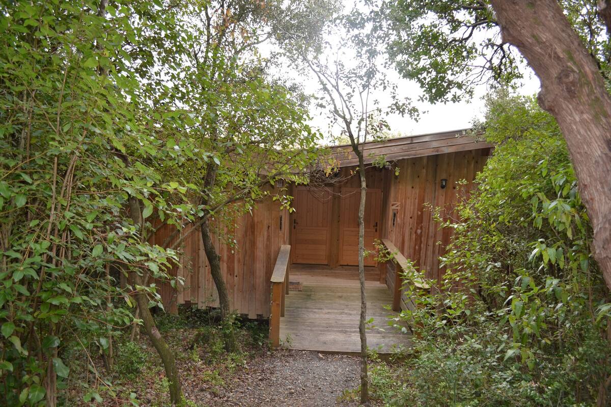 Eine Holzhütte mit einer Holzterrasse und einer überdachten Veranda, umgeben von dichtem Grün.