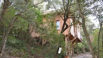 A wooden cabin surrounded by dense forest, with a dirt path leading to it.