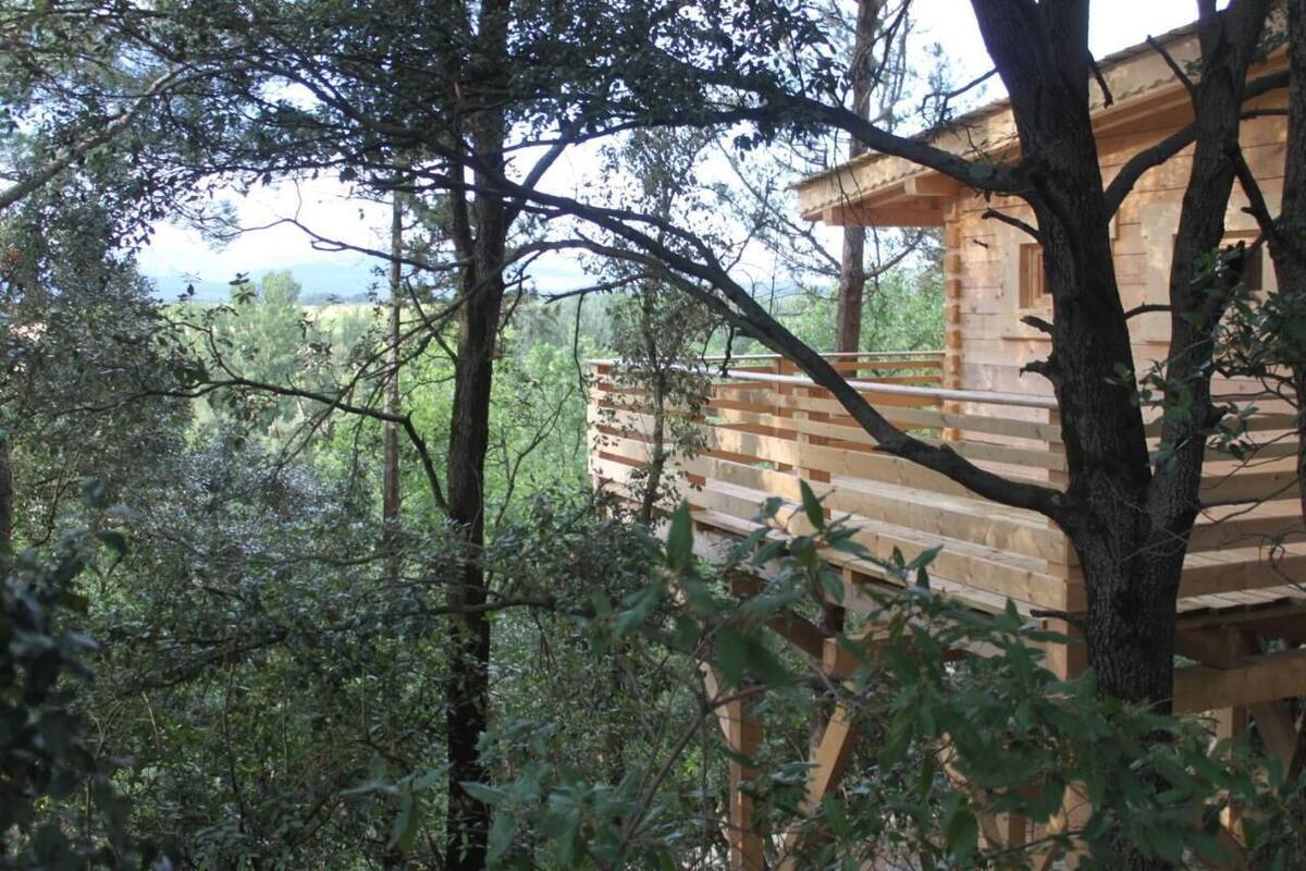 Eine Holzhütte, umgeben von dichtem Wald.