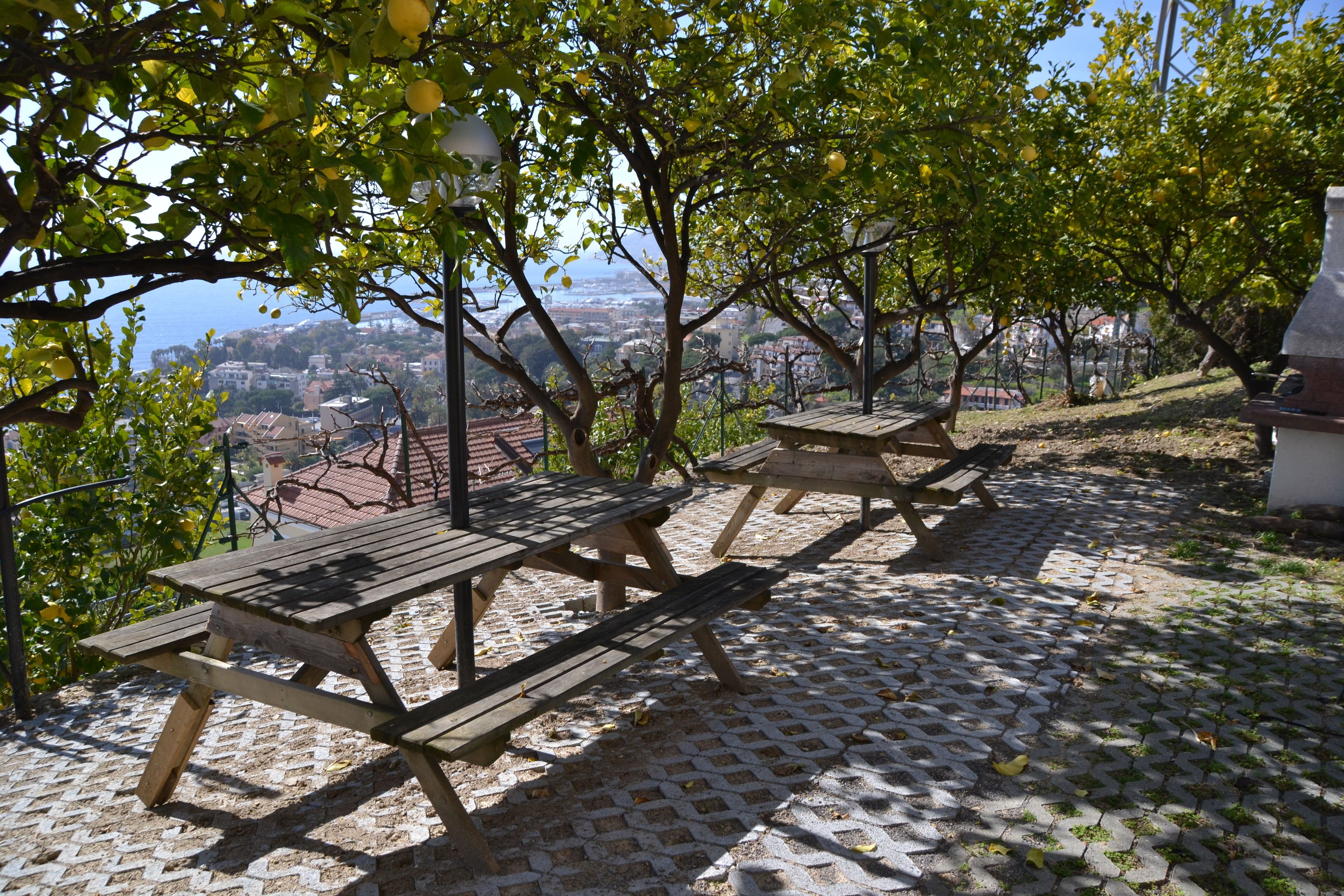 Outdoor picnic tables with a view of a city in the background.