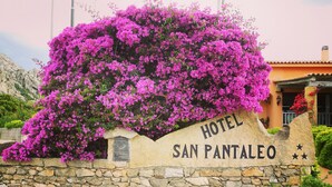 A stone wall with a sign reading "HOTEL SAN PANTALEO" and a large bush of purple flowers.
