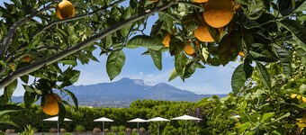 Ramo d'Aria Etna Boutique Hotel