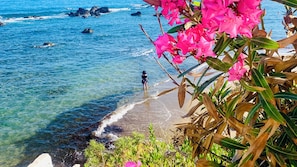 A beach with clear water, a person standing in the shallow water, and pink flowers in the foreground. - Klinakis Beach Hotel (Chania)
