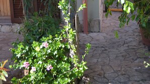 A stone pathway leading to a wooden door with shutters, surrounded by lush greenery and flowering plants.