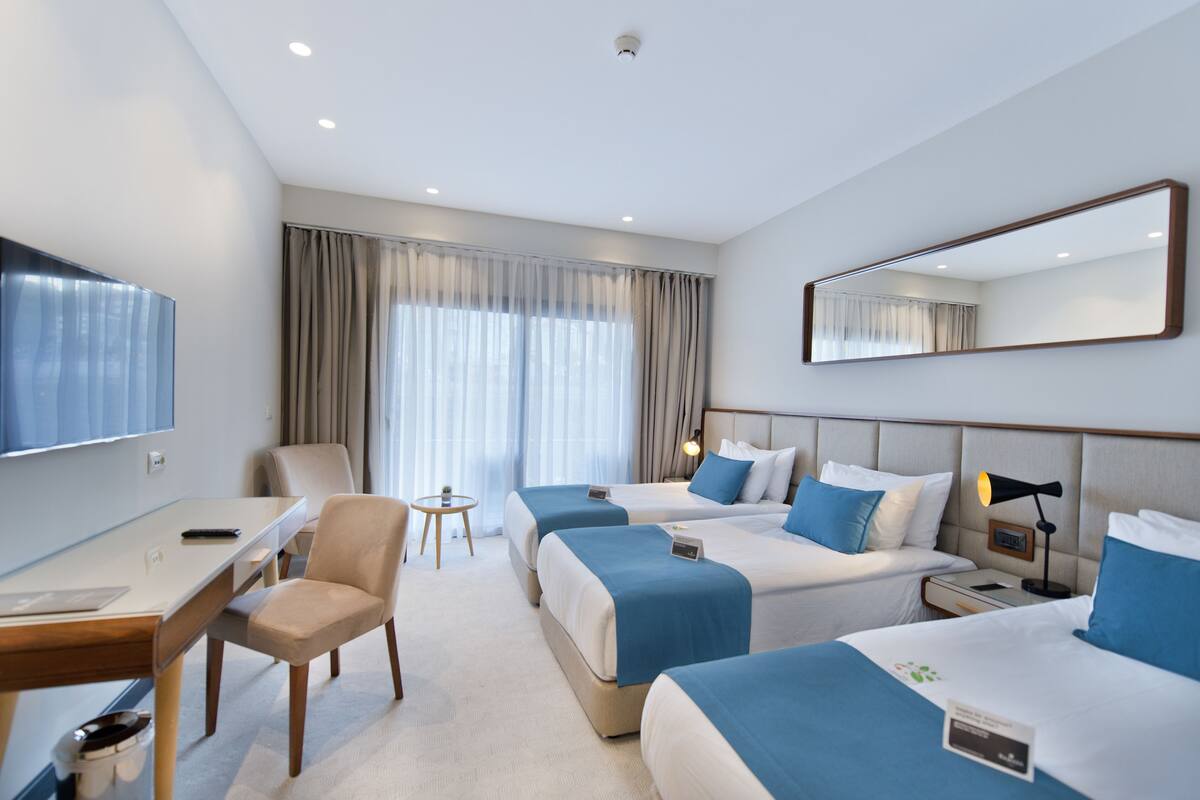 Une chambre d’hôtel avec deux lits, un bureau, une chaise, une télévision, un miroir et une fenêtre avec des rideaux.