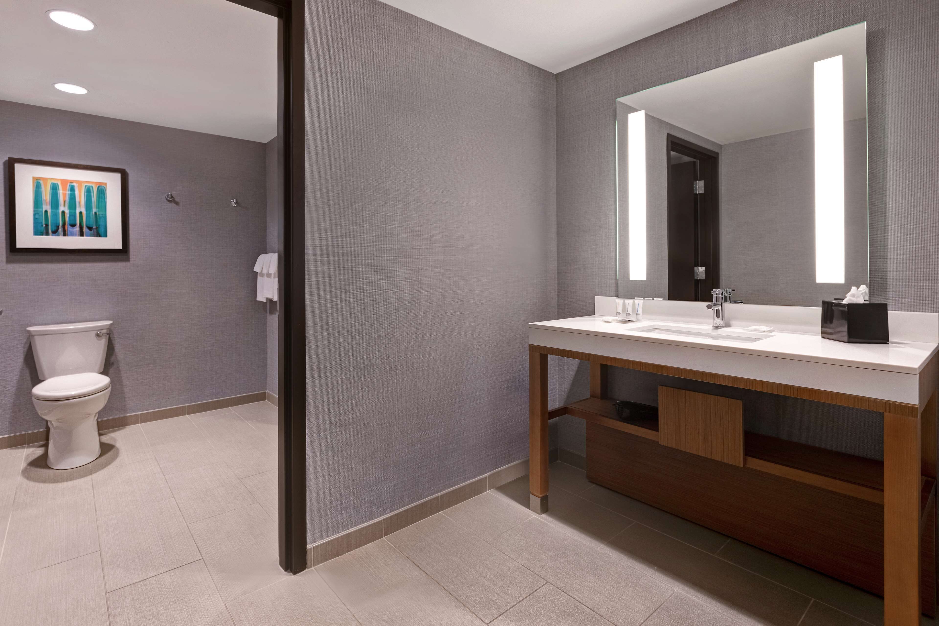 combined shower/bathtub, designer toiletries, hair dryer, towels