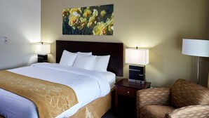Standaard kamer, 1 kingsize bed, niet-roken | Gratis wifi