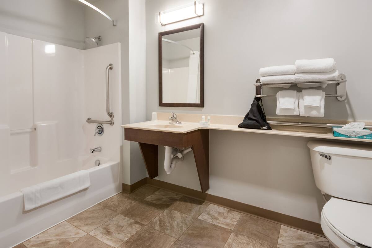 combined shower/bathtub, free toiletries, hair dryer, towels