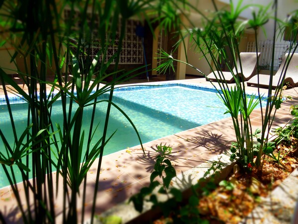 Outdoor pool, open 6:30 AM to 10 PM, sun loungers - Color Hostel (Santa Marta)