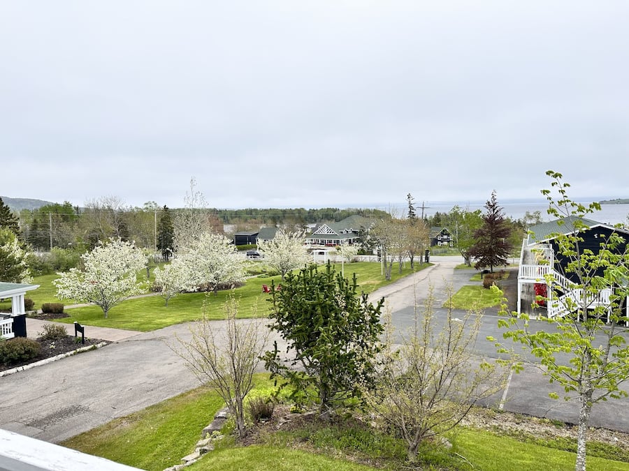 A residential street with houses, a parking area, and a view of a body of water.
