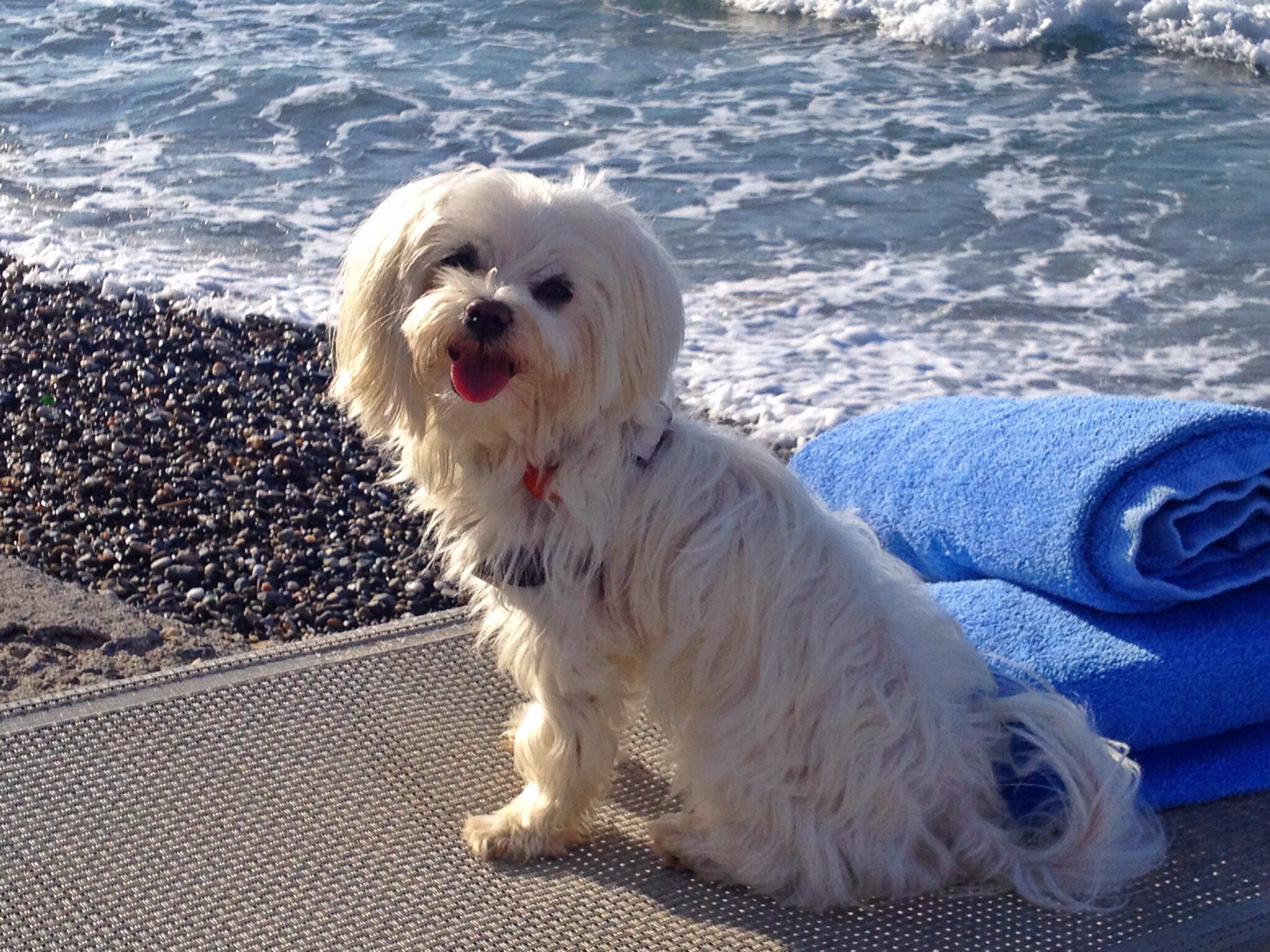 Photo - Filoxenia Beach