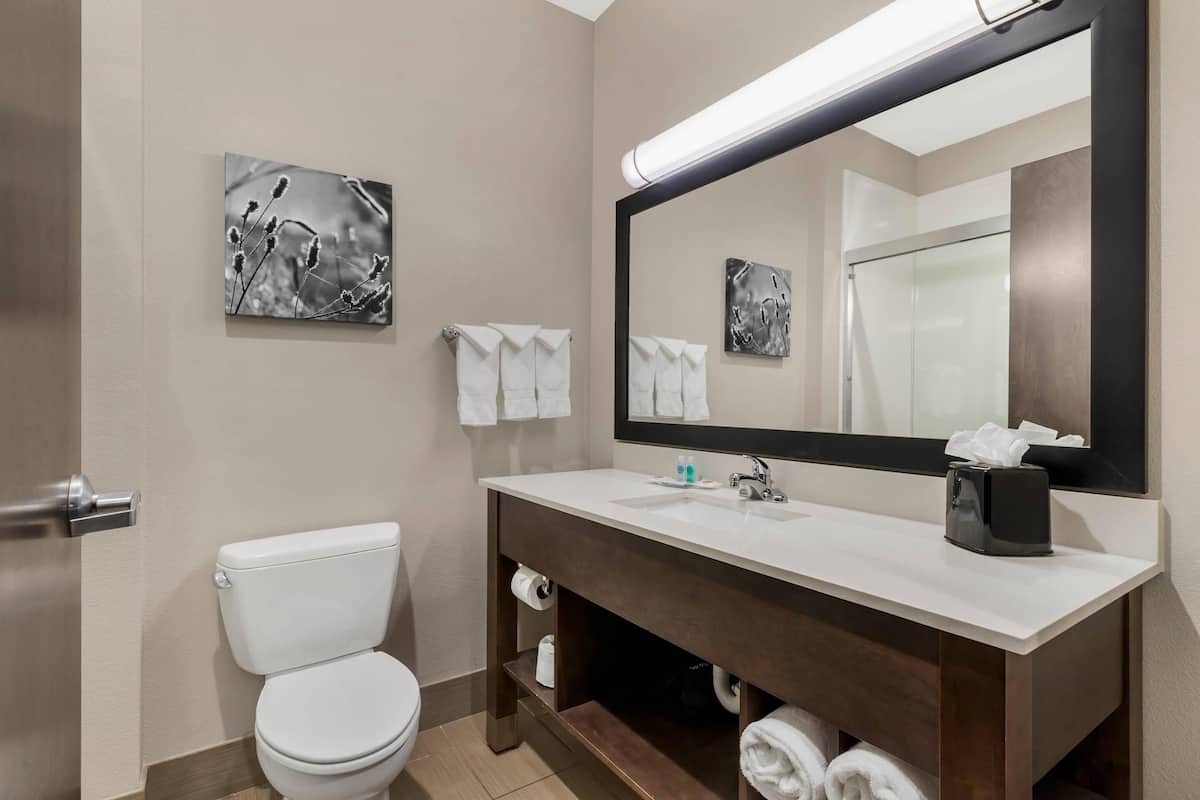 Un baño moderno con inodoro, lavamanos y espejo. Hay toallas colgadas en la pared y una caja de pañuelos en el lavamanos.