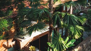 Ein tropisches Resort mit Holzterrasse, Palmen und einer strohgedeckten Struktur.