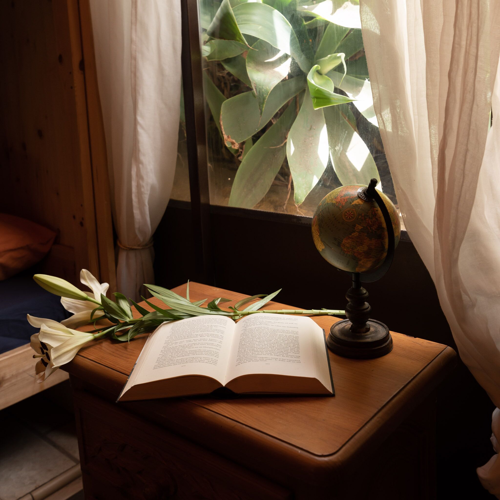 Foto - Los Amigos Nest Hostel