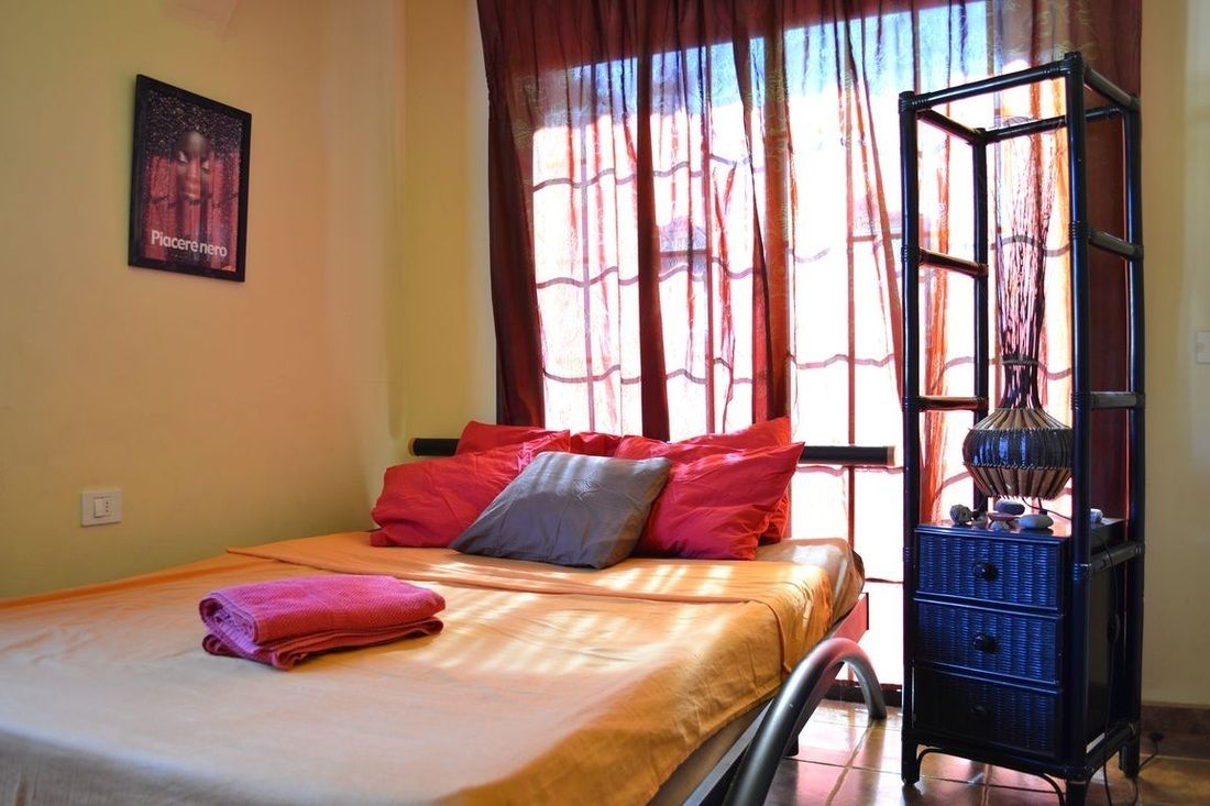 Foto - Los Amigos Nest Hostel