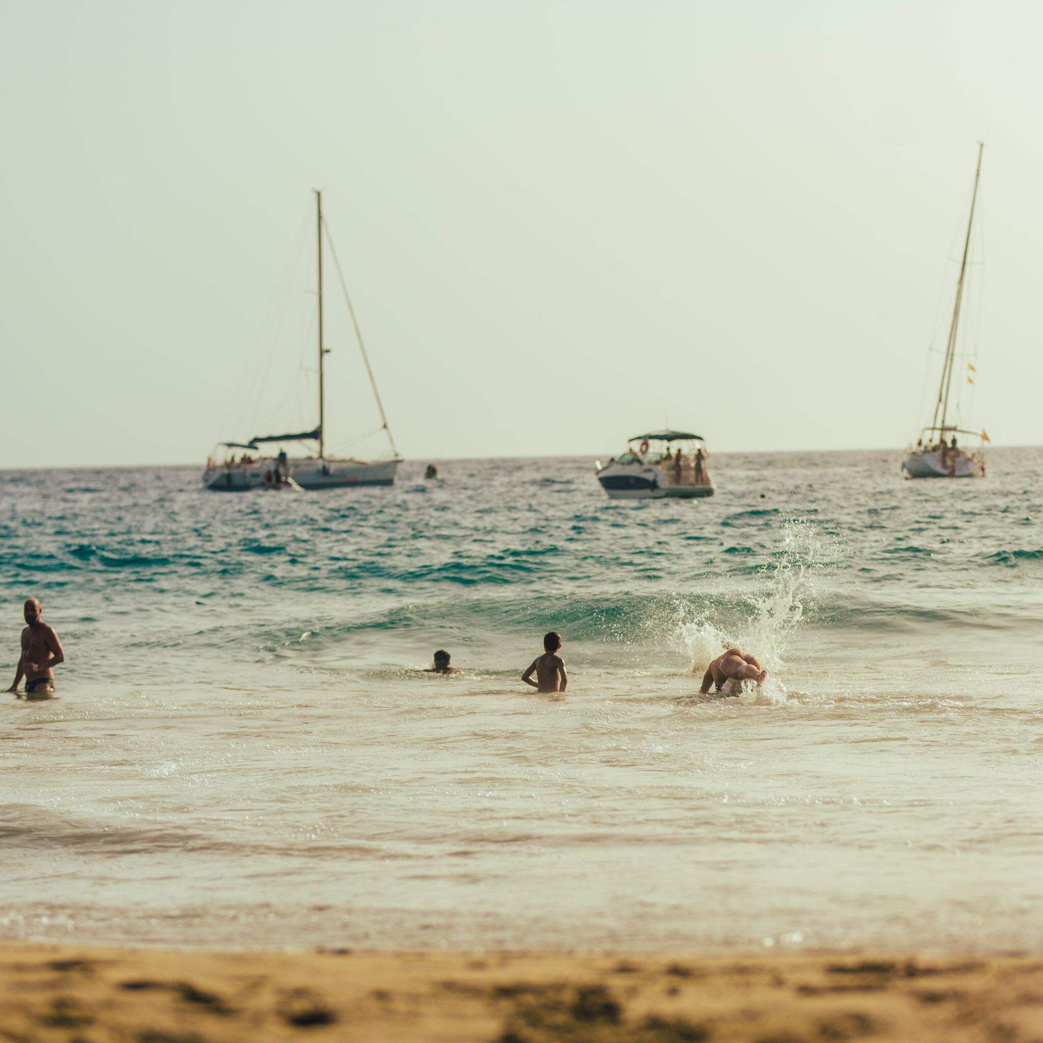 Foto - Los Amigos Nest Hostel