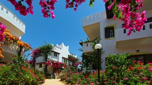 Um caminho ladeado por edifícios brancos com varandas, cercado por vibrantes flores de buganvillea.