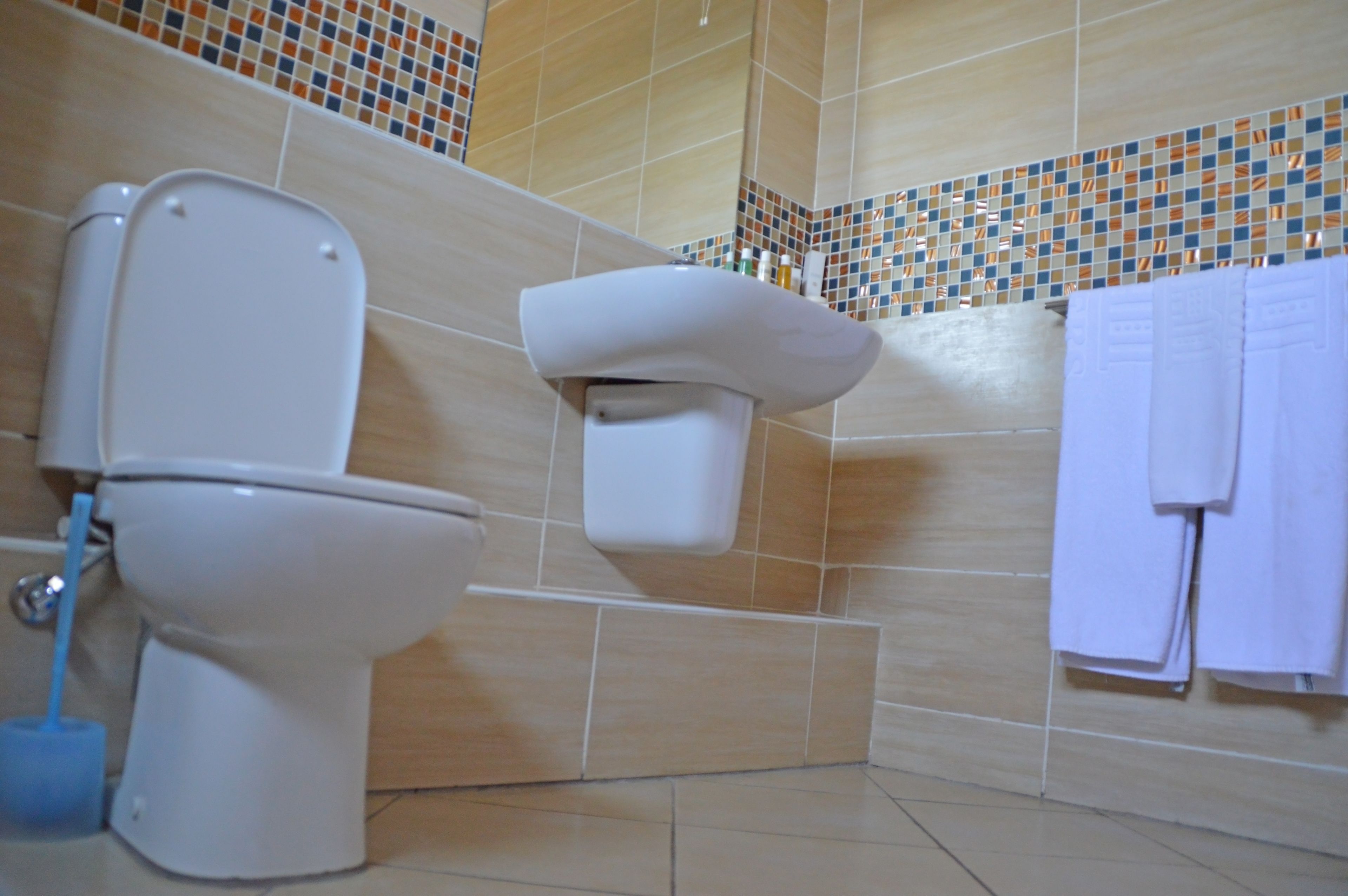 A bathroom with a toilet, a bidet, and a towel rack.