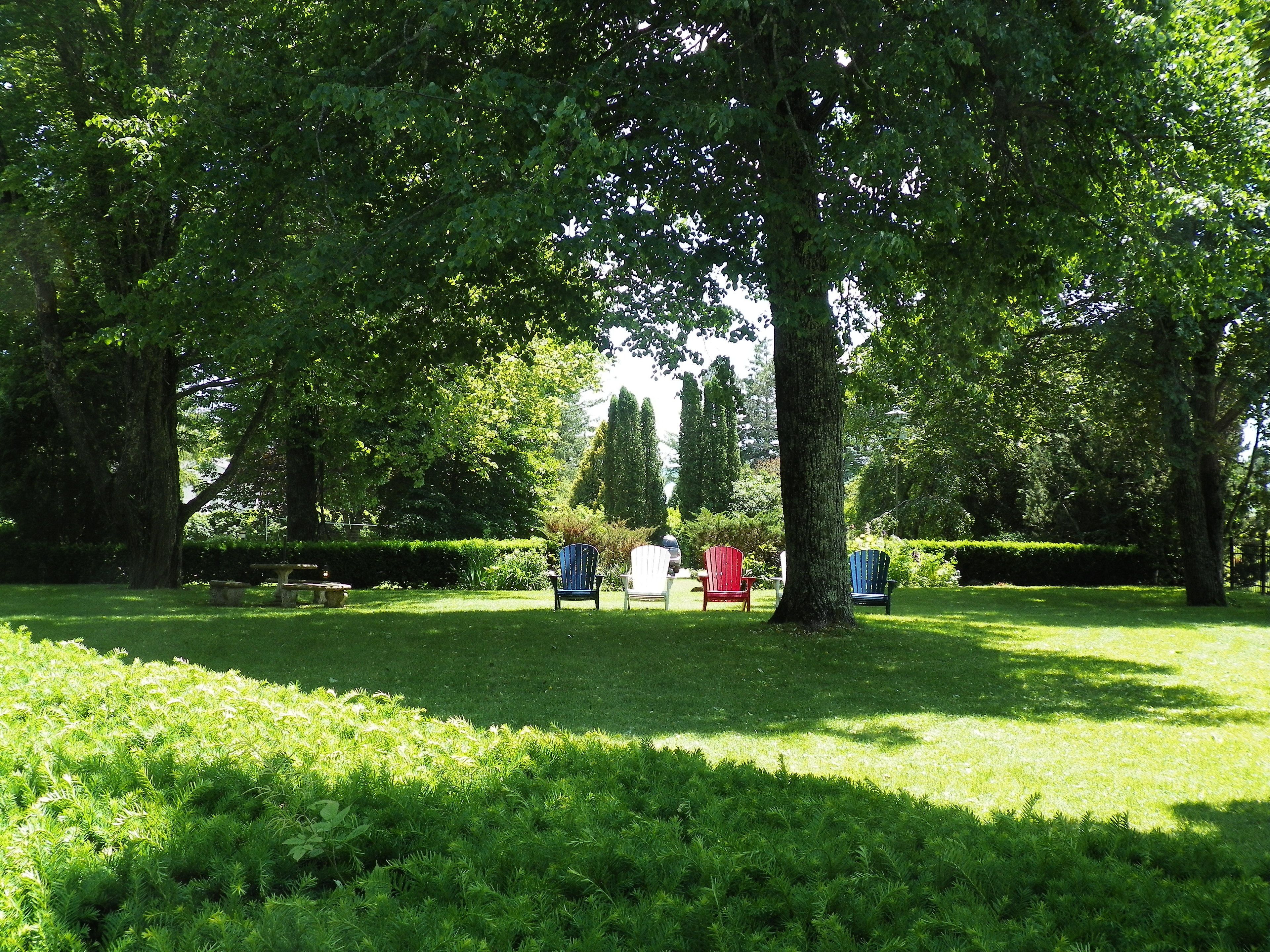 A park with trees, grass, and Adirondack chairs.
