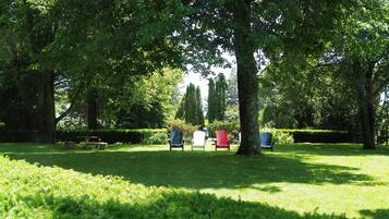 A park with trees, grass, and Adirondack chairs.