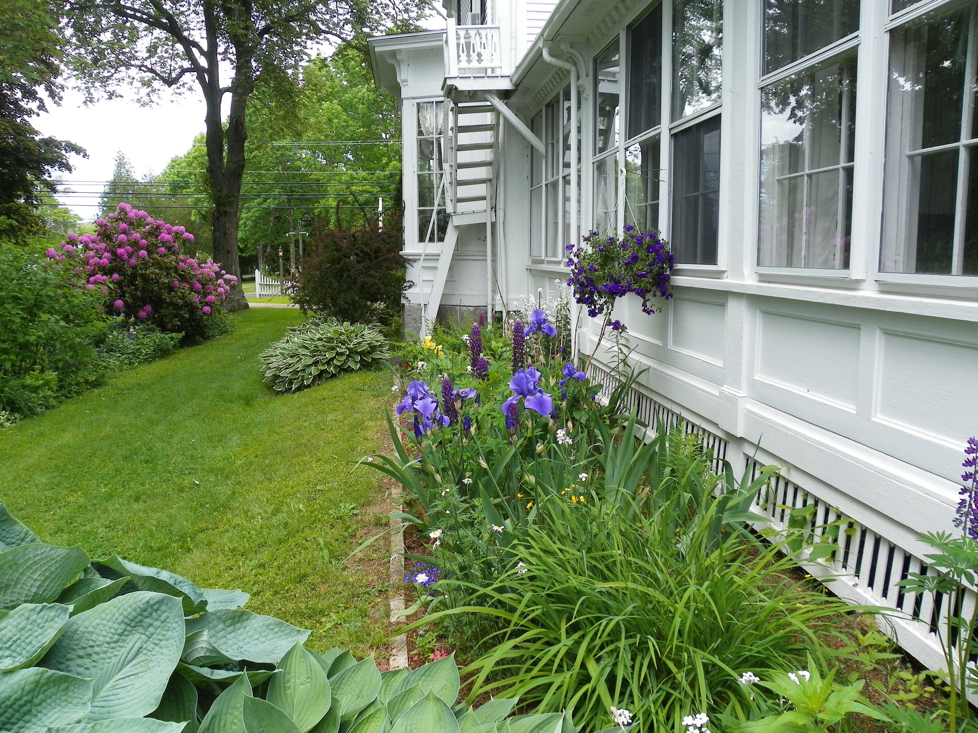 A well-maintained garden with a variety of flowers and shrubs, a white picket fence, and a house with large windows and a porch.