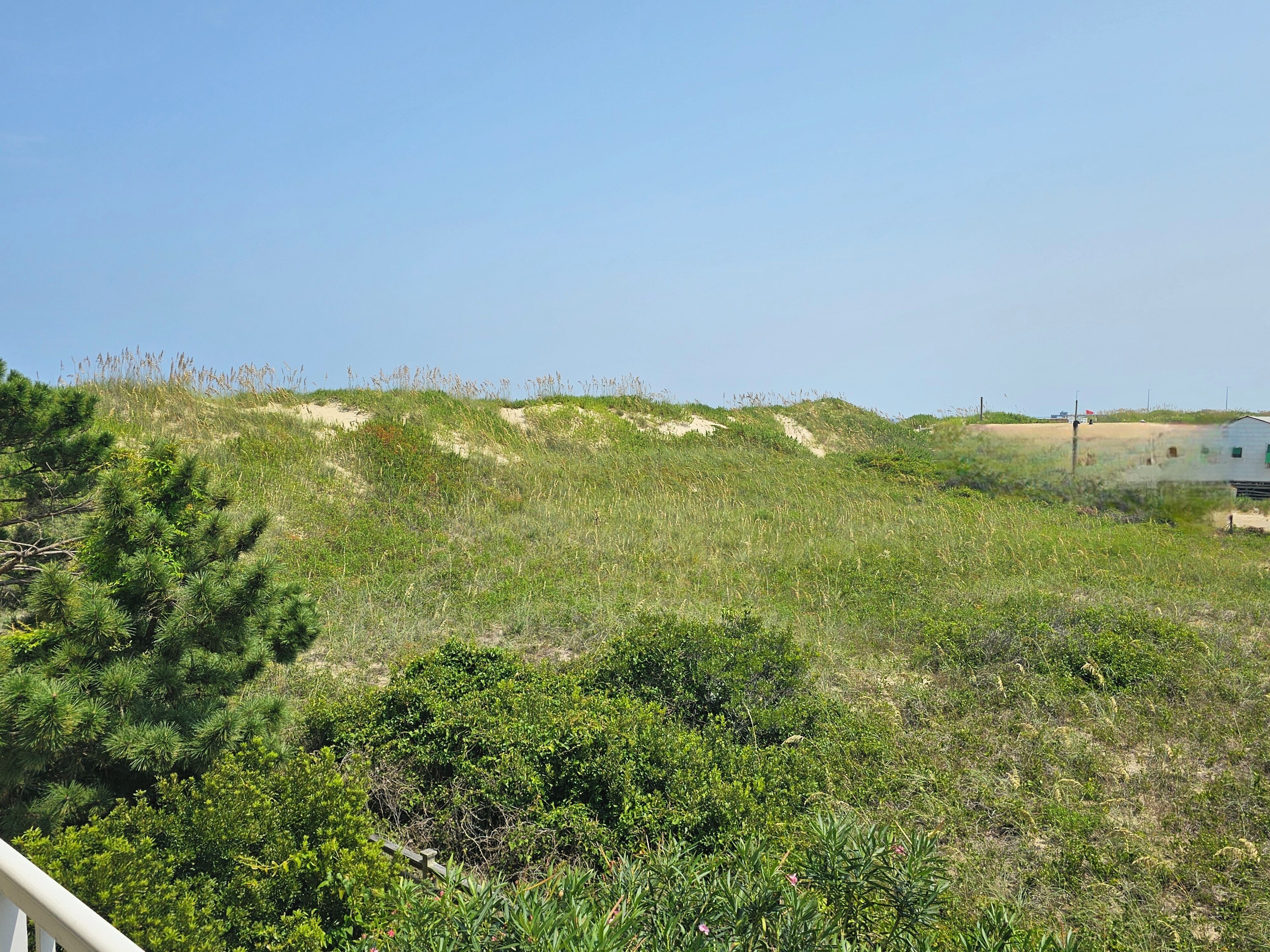 standard double queen (no elevator) | view from room