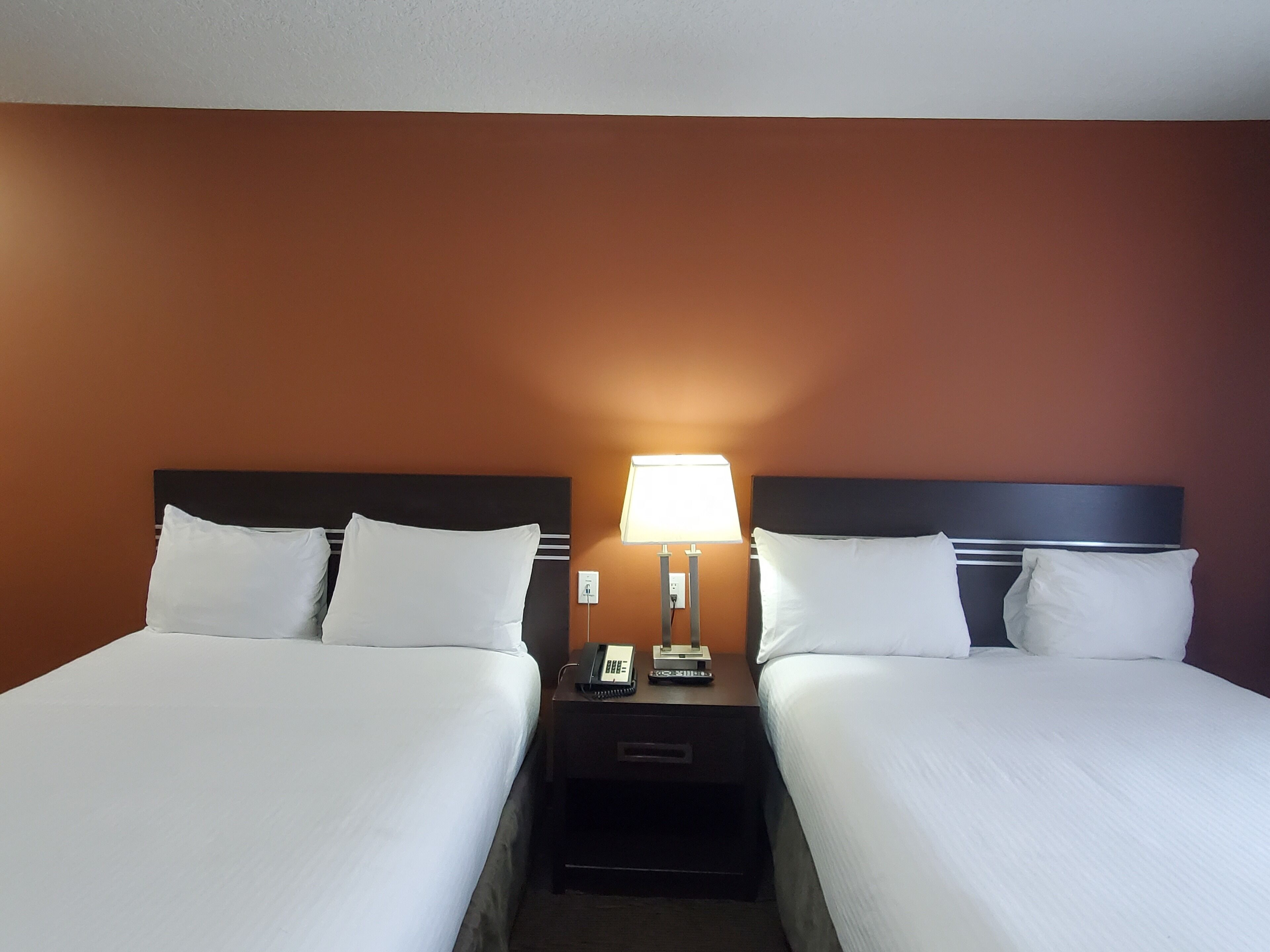 A hotel room with two beds, a nightstand with a lamp, and a phone.